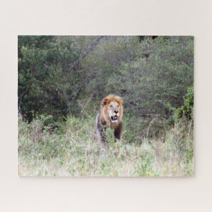 Puzzle lion