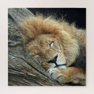 Puzzle Lion 013 by JAMFoto