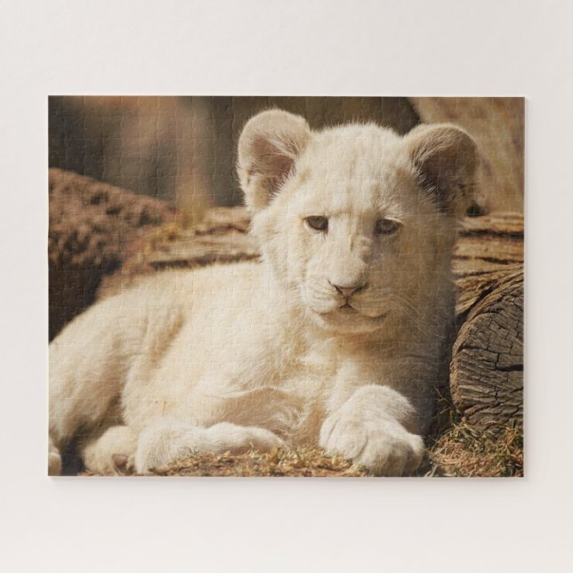 Puzzle Lion Cub (Horizontal)
