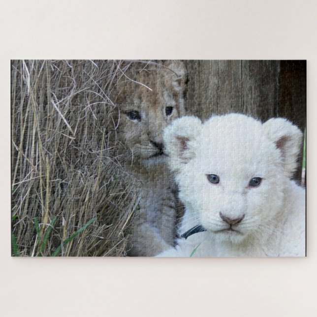 Puzzle Lion Cubs (Horizontal)