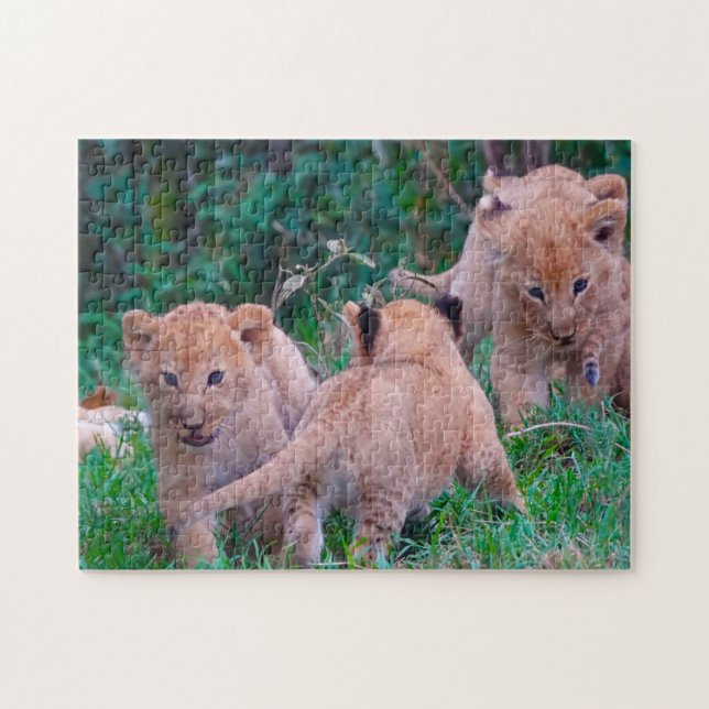 Puzzle Lion Cubs Gros Chats. (Horizontal)