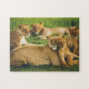 Puzzle Lion Famille Mère Cubs Bébé Lions Jungle Savannah