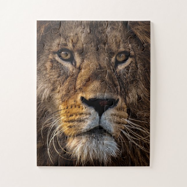 Puzzle Lion, Homme Adulte (Vertical)