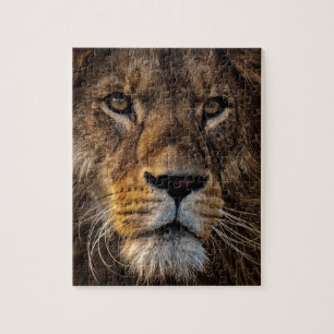 Puzzle Lion, Homme Adulte