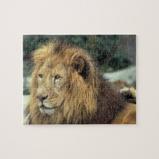 Puzzle Lion Majestic (Horizontal)
