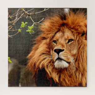 Puzzle Lion, Roi de la Jungle
