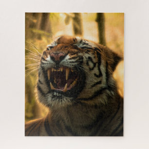 Puzzle Lion Yawning Majestic King of the Jungle