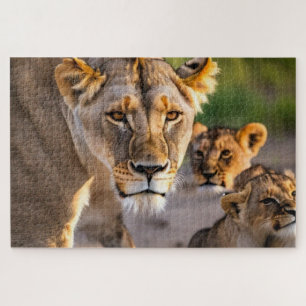 Puzzle Lioness Avec Cubes