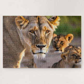 Puzzle Lioness Avec Cubes