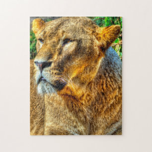 Puzzle Lioness Big Cats.