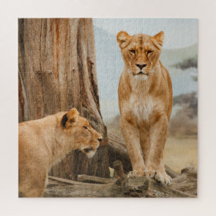 Puzzle Lions femelles scoutant aux arbres morts