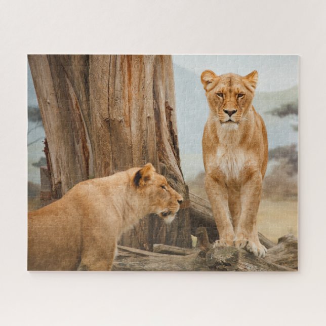 Puzzle Lions femelles scoutant aux arbres morts (Horizontal)