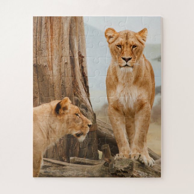 Puzzle Lions femelles scoutant aux arbres morts (Vertical)