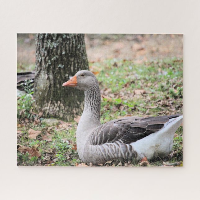Puzzle Liquide (Horizontal)