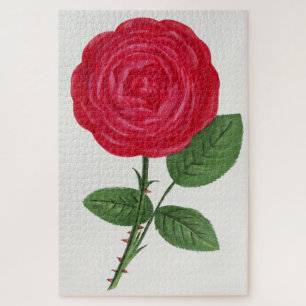 Puzzle Lithographie de rose antique, François-Frédéric Gr