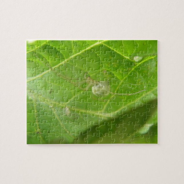 Puzzle Little Spider (Horizontal)