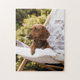 Puzzle Little Weiner Dog Lounging In The Sun