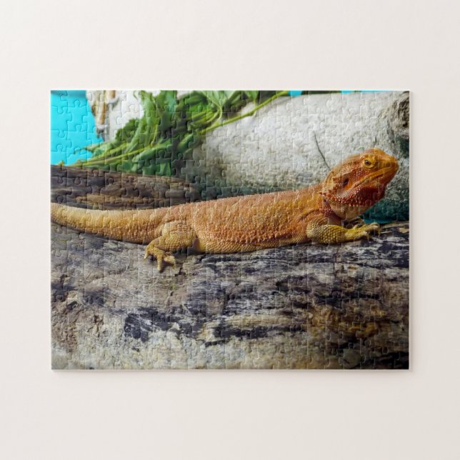 Puzzle Lizard de dragon à tête adulte (Horizontal)
