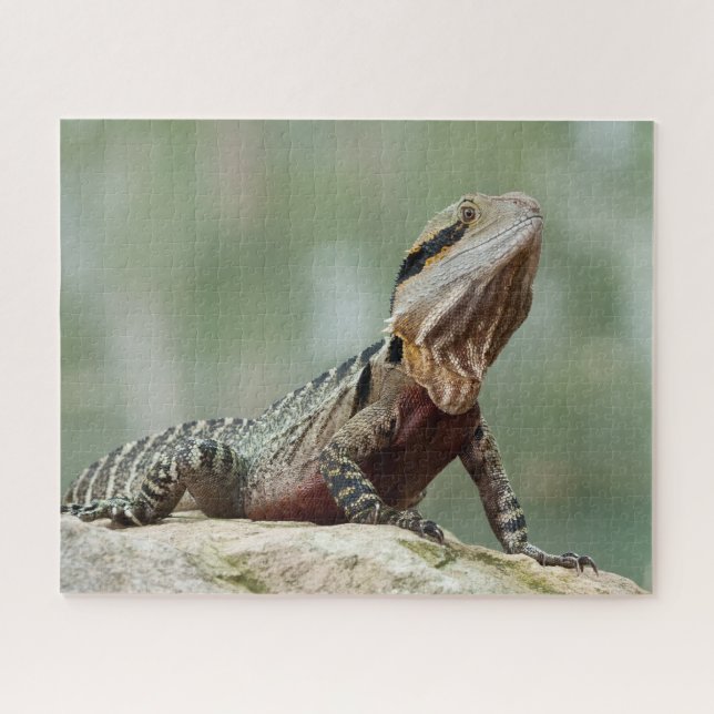 Puzzle Lizard - Dragon d'Eau Orientale (Horizontal)
