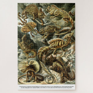 Puzzle Lizards reptiles par Ernst Haeckel