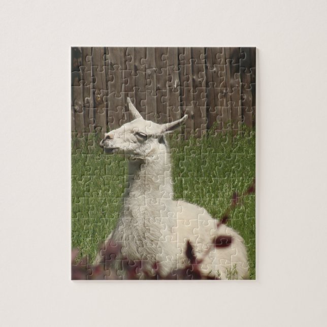 Puzzle Llama blanche (Vertical)