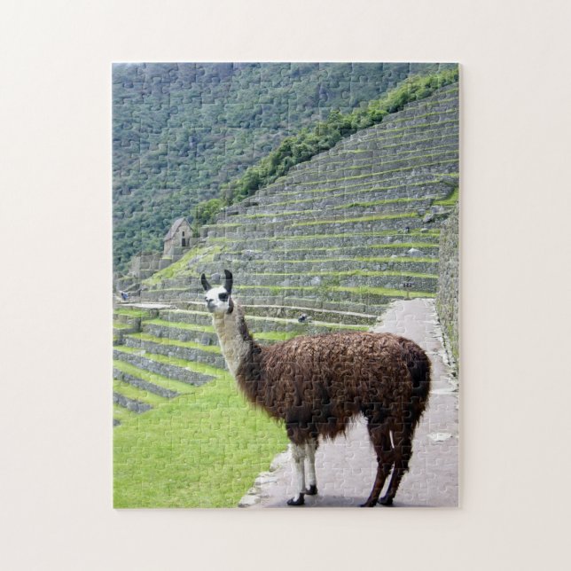 Puzzle llama peru (Vertical)