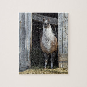 Puzzle Llama, Salutation Le Jour