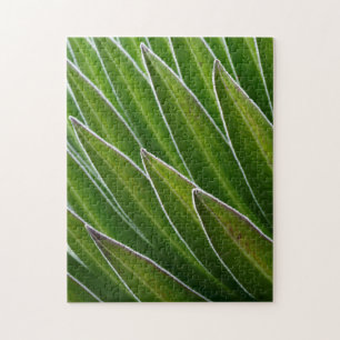 Puzzle Lobelia géante (Lobelia telekii)  Kenya, Afrique