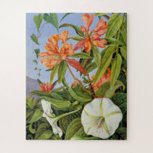 Puzzle L'oeuvre de Marianne North, A Javan Rhododendrum,