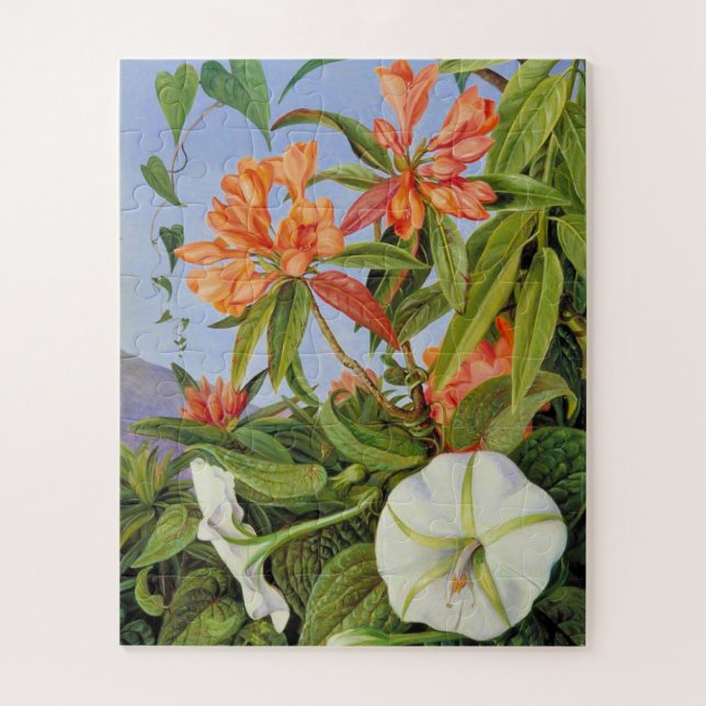 Puzzle L'oeuvre de Marianne North, A Javan Rhododendrum, (Vertical)