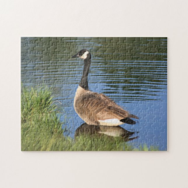 Puzzle L'Oie Du Canada Dans La Peinture À L'Huile D'Eau  (Horizontal)