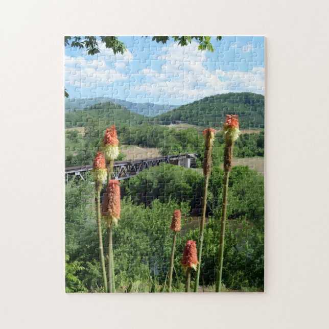 Puzzle Looking Over Arnold Valley, Rockbridge County, VA (Vertical)