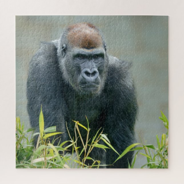 Puzzle Lope de Gorilla Blackback (Vertical)