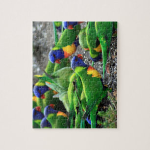 Puzzle Lorikees arc-en-ciel australiens