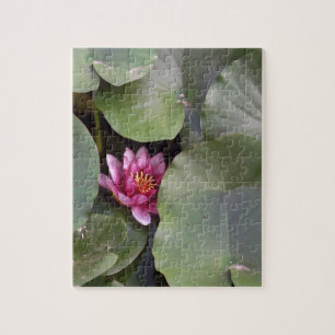 Puzzle Lotus Flower Photo