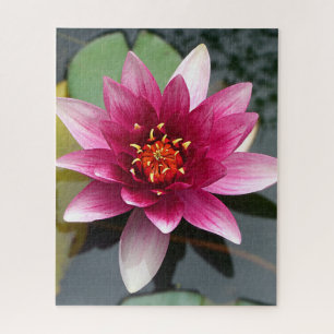 Puzzle Lotus rose