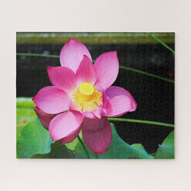 Puzzle Lotus rose chaud (Horizontal)