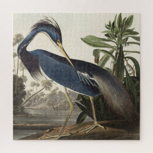 Puzzle Louisiana Heron d'Oiseaux d'Amérique