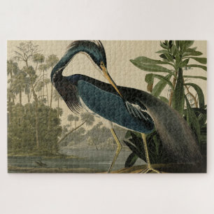 Puzzle Louisiana Heron - from Audubon's Birds of America