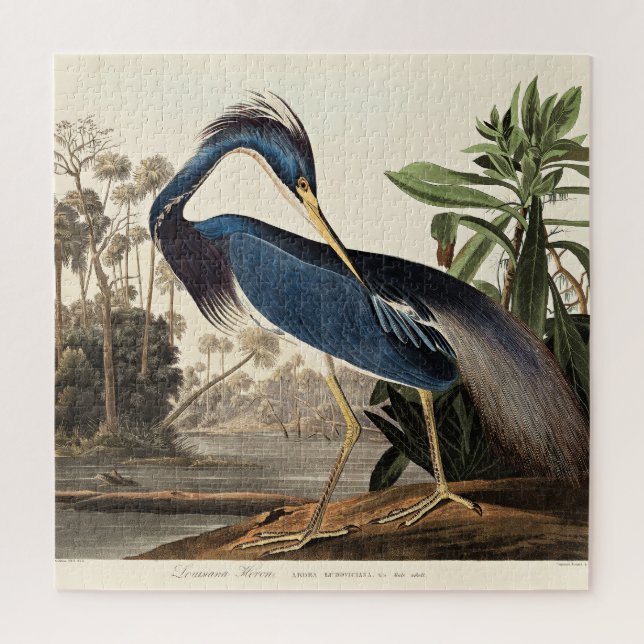Puzzle Louisiana Heron from Birds of America (Vertical)