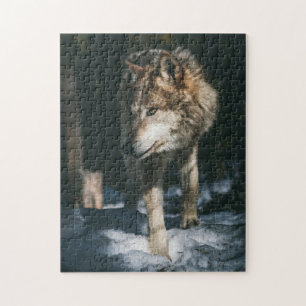 Puzzle Loup dans l'animal sauvage