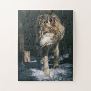 Puzzle Loup dans l'animal sauvage