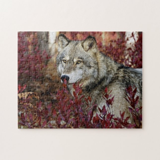 Puzzle Loup Dans Le Bassin D'Automne (Horizontal)