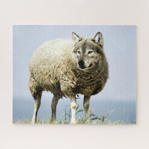 Puzzle Loup en vêtements de mouton