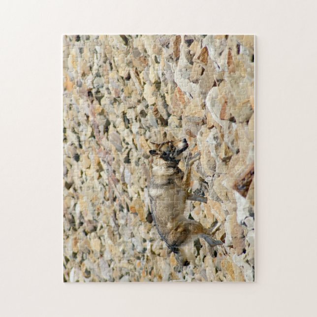 Puzzle Loup sur les roches (Vertical)