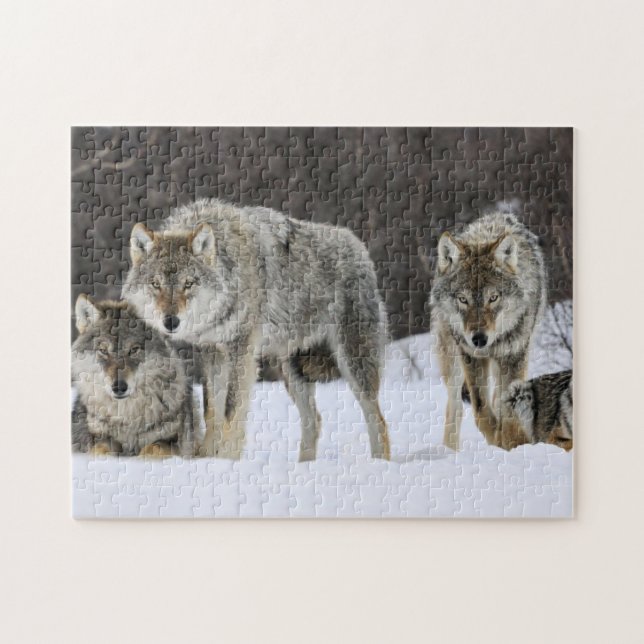 Puzzle Loups de Yellowstone (Horizontal)