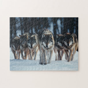 Puzzle Loups de Yellowstone