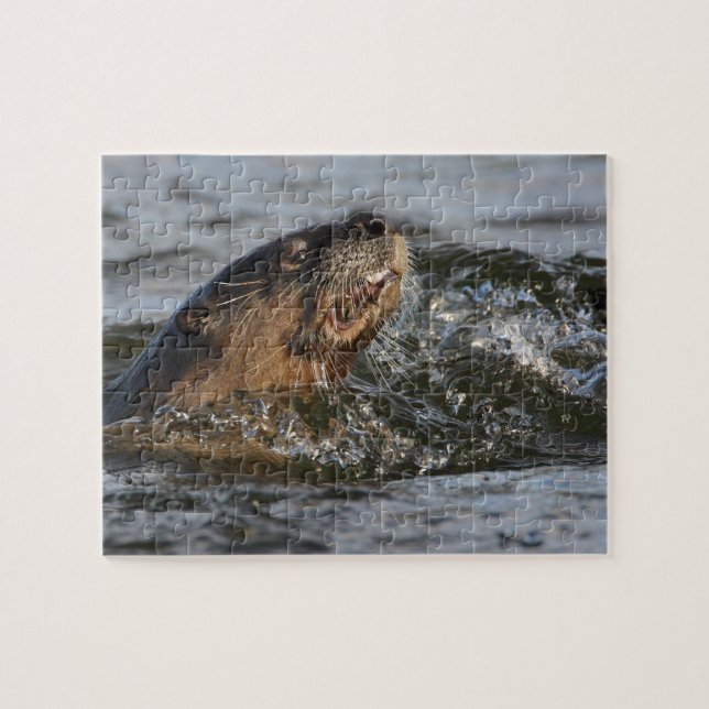 Puzzle loutre de rivière (Horizontal)