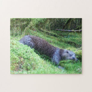 Puzzle Loutre paisible Rivière Nature Faune Calme