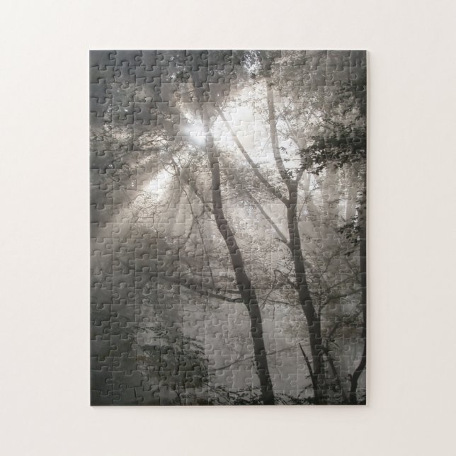 Puzzle Lumière Solaire À Travers Les Arbres (Vertical)